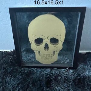 Framed Skull Mirror from Z Gallerie